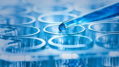 Can This Small-Cap Biotech 5x Revenue by 2026?