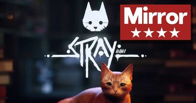 Stray review: A pawsome cyberpunk adventure that's unlike anything else