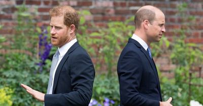 Prince Harry and Meghan Markle 'convinced themselves' William 'jealous' of popularity