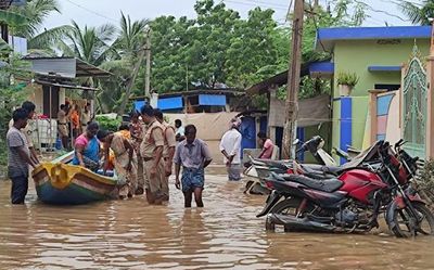 Andhra Pradesh: Rain adds to misery of flood victims in Godavari delta