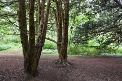 Wildfire warning issued as heatwave sweeps Scotland