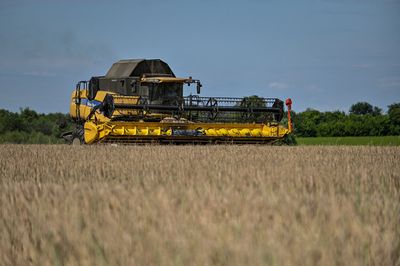 Ukrainian farmers rush to harvest grain from fields near frontline