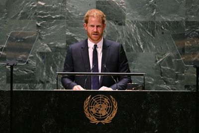 World democracy and freedom under assault, Prince Harry tells UN