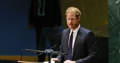 Prince Harry has a touching picture of Princess Diana with Nelson Mandela on his wall