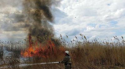 Ukrainian Farmers Rush to Harvest Grain from Fields Near Frontline