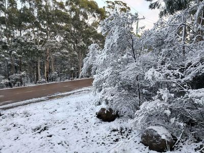 Polar blast: Tasmania blanketed in snow as cold snap hits south-east Australia