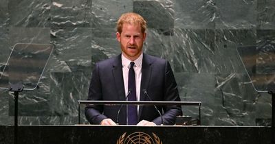 Prince Harry's plea for 'global leaders to lead' as 'the world is on fire again'
