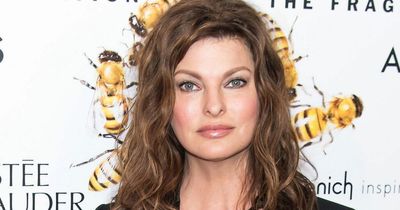 Linda Evangelista wows in new modelling job after surgery left her 'brutally disfigured'