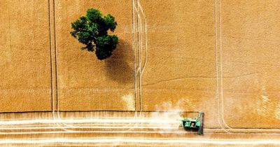 Tories defeated in High Court over Net Zero climate plan as dangerous heatwave sweeps UK