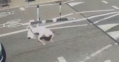 Woman falls to the road in front of cars after tripping on controversial bollards