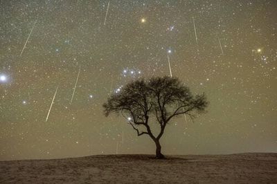 Perseids: You need to see the summer's best meteor shower ASAP