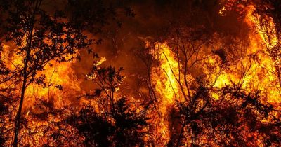 Where are the wildfires in Spain and France and could they affect Irish holidaymakers?