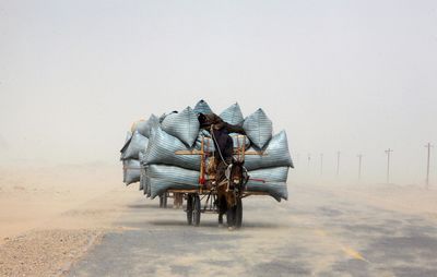 Allies seek to follow U.S. lead on Xinjiang forced labor ban
