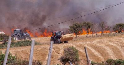 Voice of the Mirror: Scorching heatwave shows why the UK must invest in green future