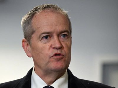 Sick leave before virus payment: Shorten