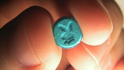 Australia's first fixed-site pill testing to open in Canberra in bid for harm reduction