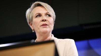 Tanya Plibersek delivers State of the Environment address following 'shocking' climate report — as it happened