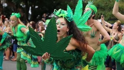 Legalise Cannabis Party eyes Victorian, NSW state elections after primary vote soars