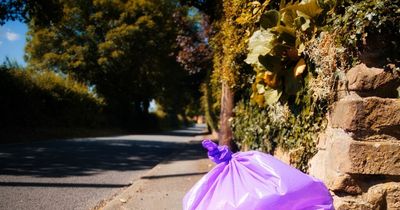 Kerbside nappy recycling scheme to launch pilot project in Bristol