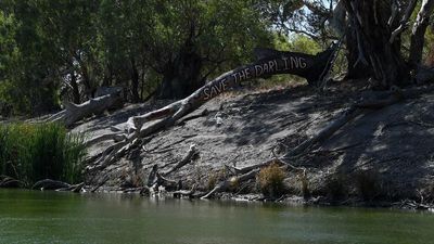 Murray Darling target ‘next to impossible’