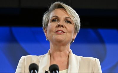 Tanya Plibersek blames Coalition for $1 billion of environmental damage