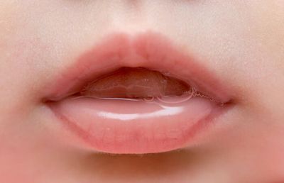 Saliva a key defence from toxins and microorganisms