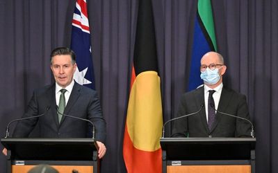 Australians urged to work from home and wear masks indoors