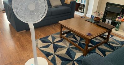 I tried the dupe fan that's £150 cheaper than Dyson and it's a 'revelation'