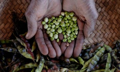 Cookbook puts pigeon pea on Malawi’s plates to combat food insecurity