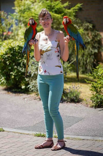 Free Birds: Woman Taught Her Stunning Parrots To Fly Freely And Return