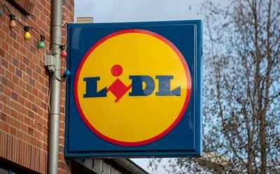 Lidl and Aldi reach record market share as grocery price inflation hits 9.9%