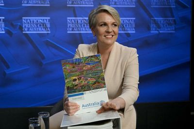 Tanya Plibersek pledges new environment laws to end years of ‘wilful neglect’ by Coalition