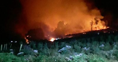 Fire crews battle forest blaze since early hours of this morning