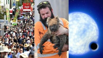 The Loop: Concerns COVID-19 may become Australia's leading cause of death, Labor adopts a new environmental target, and a unique black hole discovery