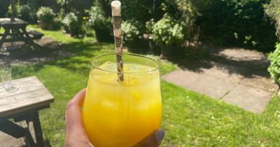 1p trick from Asda can stop flies ending up in your summer drinks