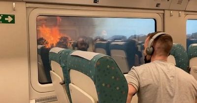 Passengers terrified as Spanish train comes to a stop in the middle of deadly wildfire