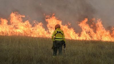 Scientists dismay as European heat wave validates their predictions