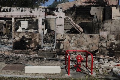 France battles huge wildfires, Britain bakes in record heatwave