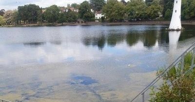 Warning over suspected toxic blue-green algae issued for Cardiff's Roath Park lake