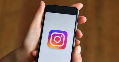 Instagram users experiencing technical issues as search feature unusable