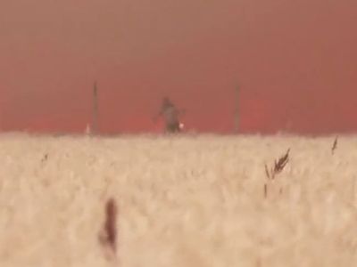 Man runs through field of flames to flee ferocious wildfire in Spain