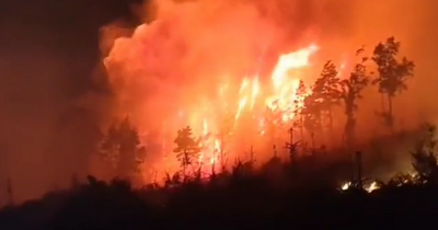 Wicklow fire service battling major blaze in forest and popular hiking area