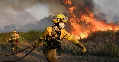 Europe in flames as thousands flee 'heat apocalypse' with 'monster octopus' wildfires