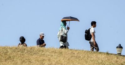 UK heatwave: Hottest day EVER as temperatures hit 39C - and it may get even warmer