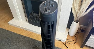 A £20 Aldi fan has been my lifesaver as a ginger working from home in the heatwave