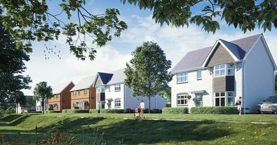 Plans for 260 Somerset homes approved for site in Bridgwater