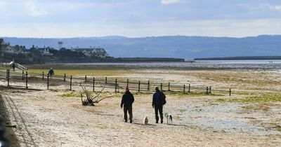 Warning issued to dog walkers on Merseyside beaches