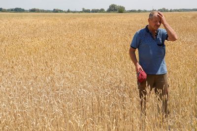 Ukraine grain storage crisis hits home as farmers harvest new crops