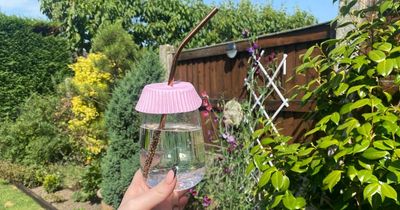Asda shopper shares 1p hack which will stop flies landing in your drink this summer