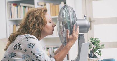 Beat brain fog in the heatwave by eating salad - it'll make you more productive